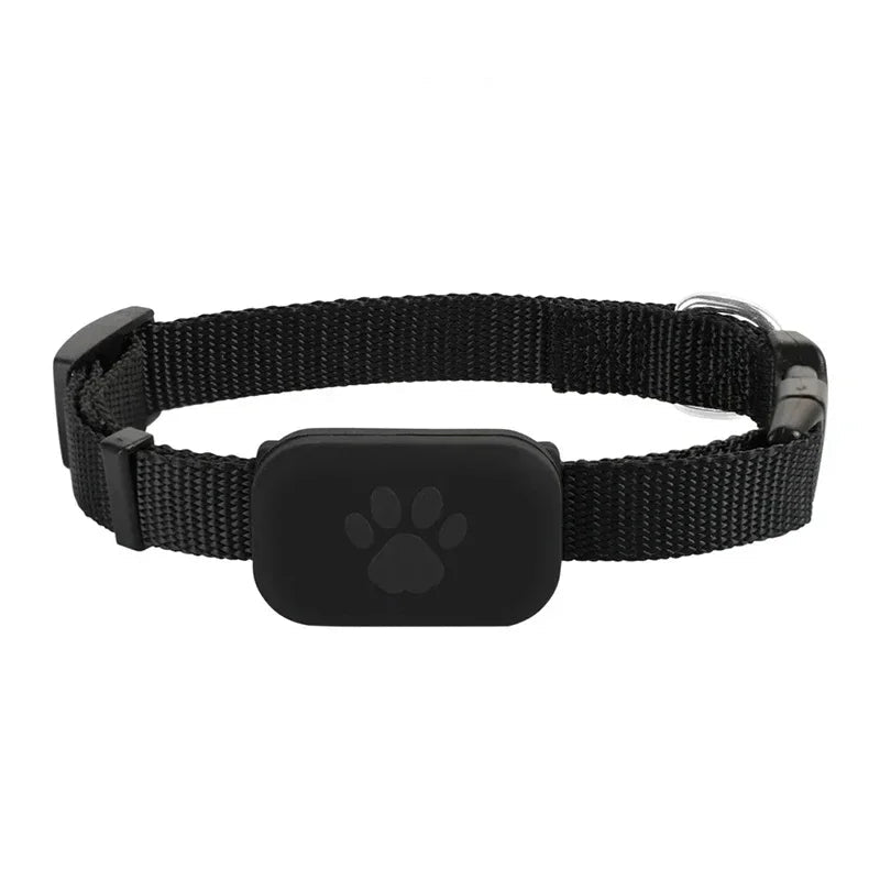 Guardtail Animal GPS Tracker