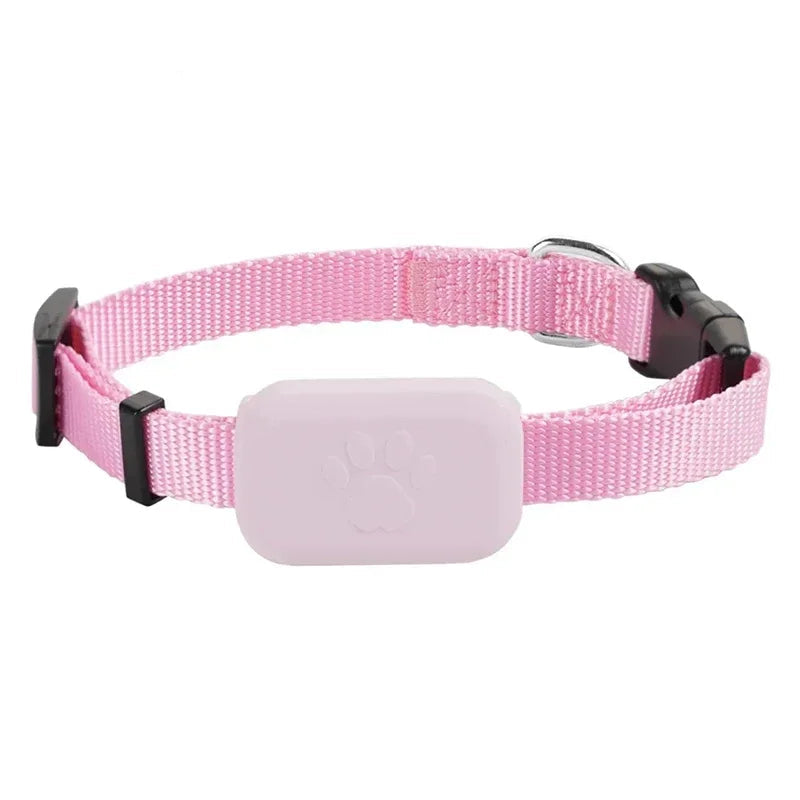 Guardtail Animal GPS Tracker